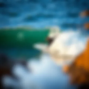 Exploring the Surfing Scene in Todos Santos, Mexico Summary Exploring the Surfing Scene in Todos Santos, Mexico Summary