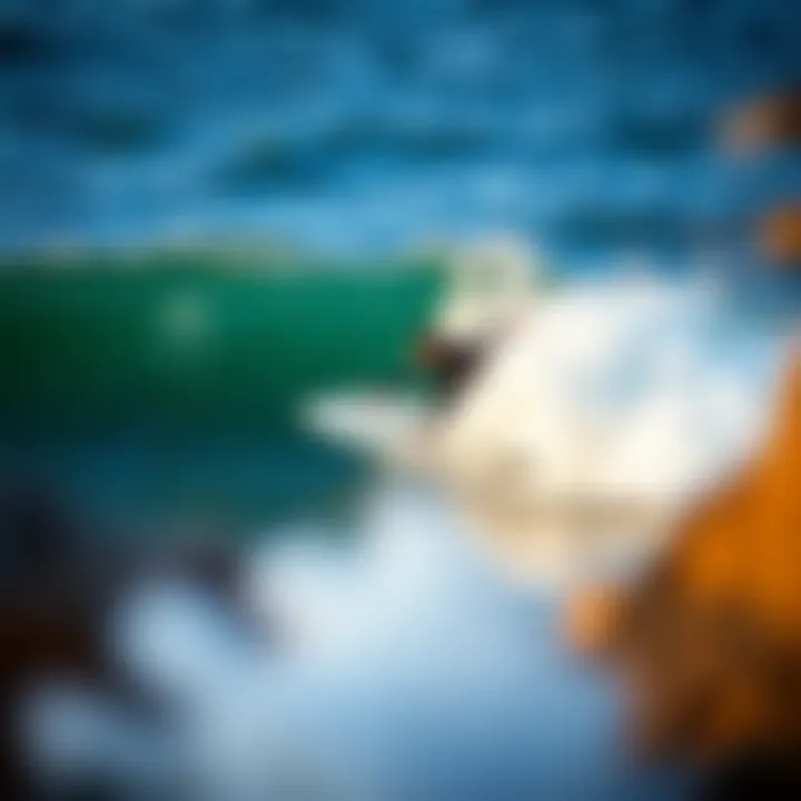 Exploring the Surfing Scene in Todos Santos, Mexico Summary Exploring the Surfing Scene in Todos Santos, Mexico Summary