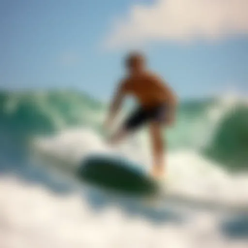 Exploring the UCSD Surfing Class: A Comprehensive Overview Introduction