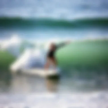 Notable Exploring the UCSD Surfing Class: A Comprehensive Overview Notable Exploring the UCSD Surfing Class: A Comprehensive Overview