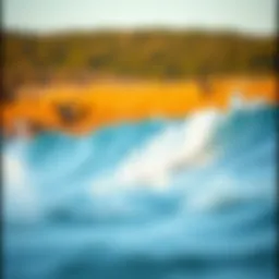 Exploring the Versatility of Surfboard 6580: A Comprehensive Guide Introduction