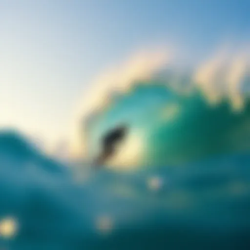 Exploring the Wave's Cape: A Deep Dive into Surfboarding Culture Introduction
