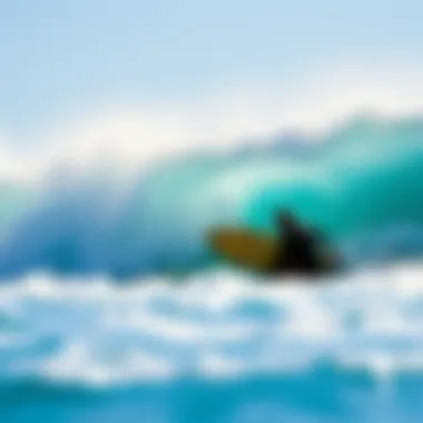 Notable Exploring the Wave's Cape: A Deep Dive into Surfboarding Culture
