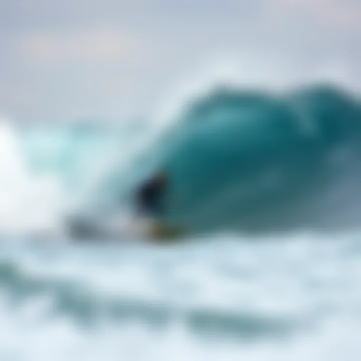 Diverse Waves of Malaysia's Coastline Diverse wave conditions along Malaysia's coastline