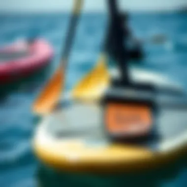 Essential Gear: The Heart of Paddle Boarding Close-up of essential paddle boarding equipment including paddles and boards