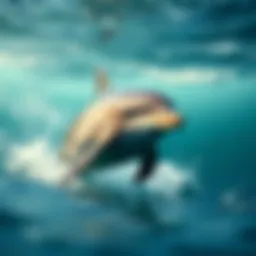 Fascinating Insights into Bottlenose Dolphins Introduction