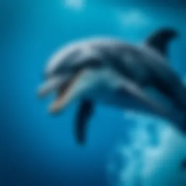 Fascinating Insights into Bottlenose Dolphins Summary Fascinating Insights into Bottlenose Dolphins Summary