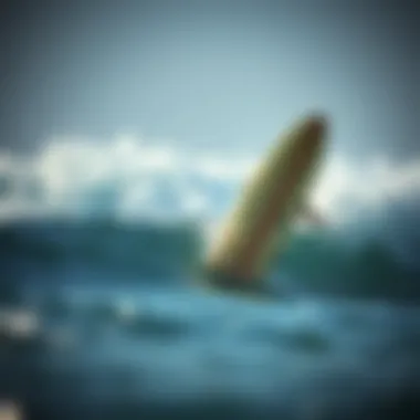 Finding the Right Surfboards for Sale Near You Introduction Finding the Right Surfboards for Sale Near You Introduction