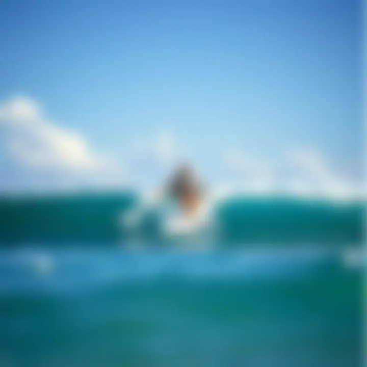 Finding the Right Surfboards for Sale Near You Summary Finding the Right Surfboards for Sale Near You Summary
