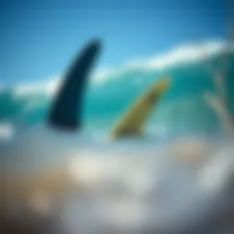 Fins Swimming: An Essential Element of Surfing Dynamics Introduction