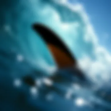 Fins Swimming: An Essential Element of Surfing Dynamics Summary