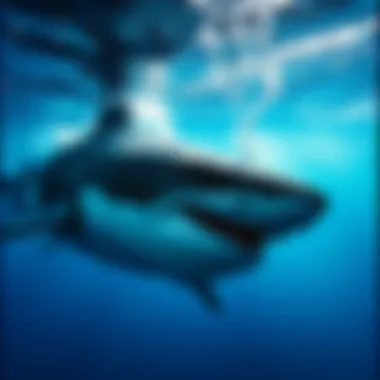 Gansbaai Shark Cage Diving: An In-Depth Exploration Introduction Gansbaai Shark Cage Diving: An In-Depth Exploration Introduction