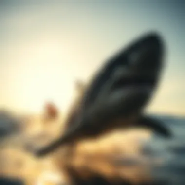 Notable Global Shark Tracker: A Comprehensive Analysis Notable Global Shark Tracker: A Comprehensive Analysis