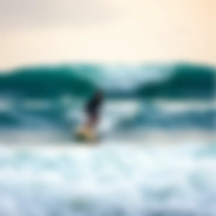 Guanico Surf Camp: An In-Depth Exploration Summary