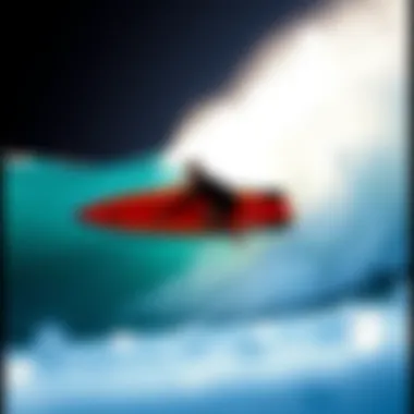 High Performance Fish Surfboards: An In-Depth Examination Summary High Performance Fish Surfboards: An In-Depth Examination Summary