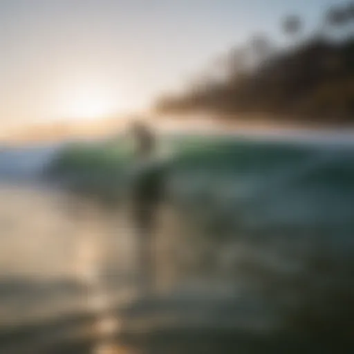 Surfer riding a wave at La Jolla Shores