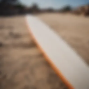 A close-up view of the construction materials used in landsurf boards