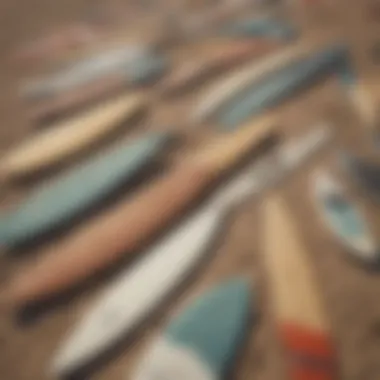 Different types of landsurf boards arranged side by side