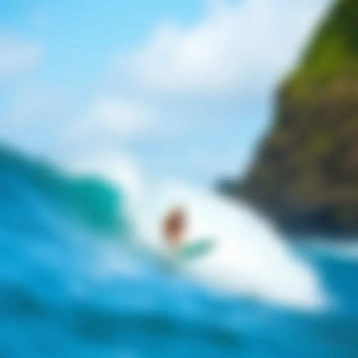 Learning to Surf in Costa Rica: A Comprehensive Guide Summary Learning to Surf in Costa Rica: A Comprehensive Guide Summary