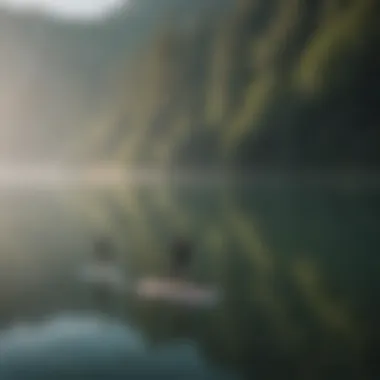 An array of stand-up paddle boards on a serene lake.