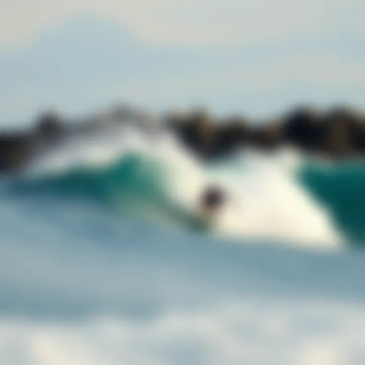 Mastering the Surf Pop-Up: Techniques and Insights Summary Mastering the Surf Pop-Up: Techniques and Insights Summary