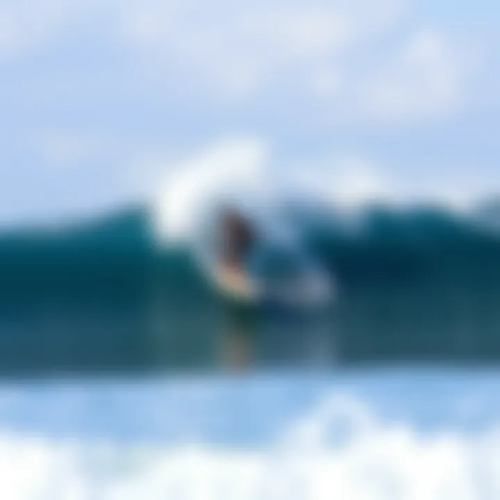 Notable Mastering the Surfing Forecast: Essential Insights for Enthusiasts