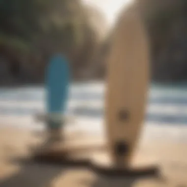 Variety of balance boards displayed for training purposes