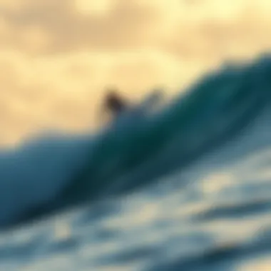 Notable Navigating the Market for Surfboards in San Diego Notable Navigating the Market for Surfboards in San Diego