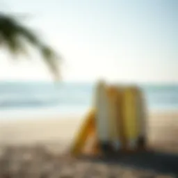 A serene beach scene with surfboards lined up on the shore