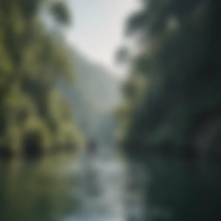 Scenic view of paddleboarding in nature