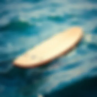 Notable Ocean Foil Surfboards: A Comprehensive Exploration Notable Ocean Foil Surfboards: A Comprehensive Exploration