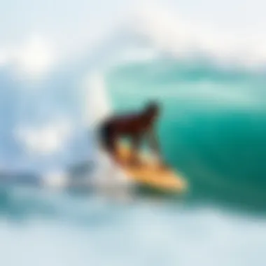 Notable Optimal Bodyboards for Bigger Surfers Notable Optimal Bodyboards for Bigger Surfers