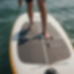 A close-up of a paddleboard showcasing various widths