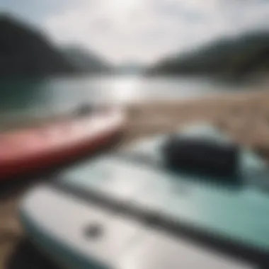 Close-up of essential paddleboarding equipment resting on the shore