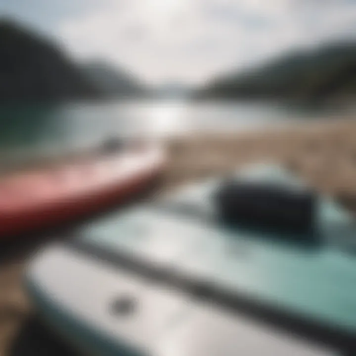 Close-up of essential paddleboarding equipment resting on the shore