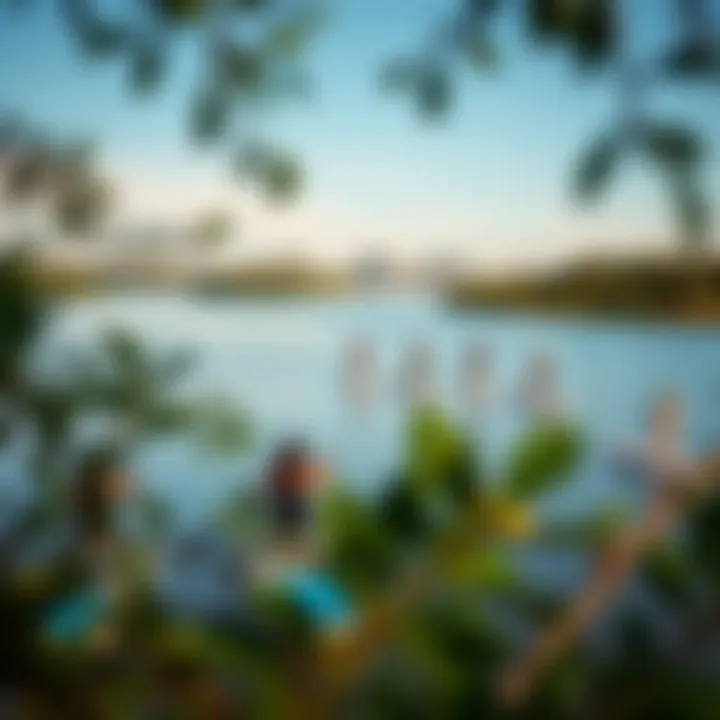 Scenic View of Lake Austin Group of paddle boarders enjoying the scenery at Lake Austin