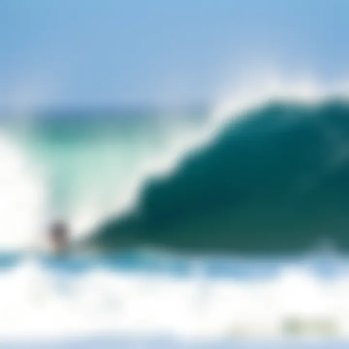 Regional characteristics of winds affecting surf quality