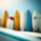 Diverse surfboard types arranged for selection