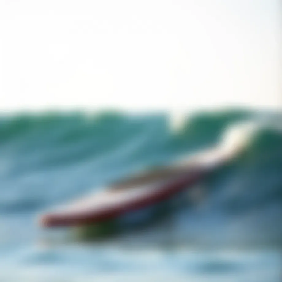 Selecting the Optimal SUP Board for Beginners Introduction