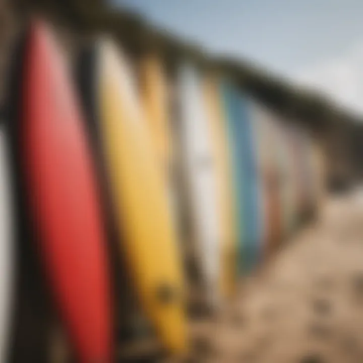 Diverse surfboards lined up on the beach