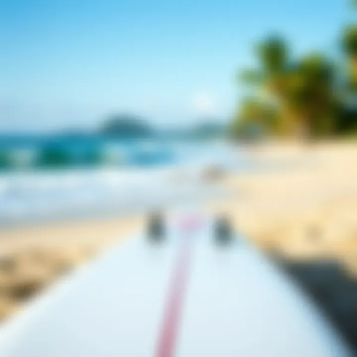 Surfboard in Natural Environment A scenic beach backdrop for surfboard usage