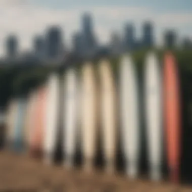 Close-up of surfboards lined up against a backdrop of Austin's skyline