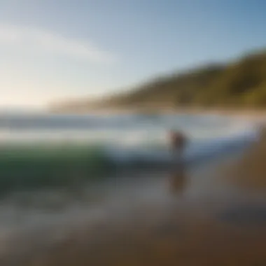 A vibrant scene of surfers enjoying the waves at the local surf spot in Austin