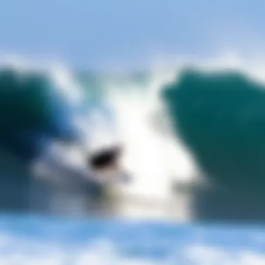 Notable Surfing in San Diego for Beginners: A Comprehensive Guide Notable Surfing in San Diego for Beginners: A Comprehensive Guide