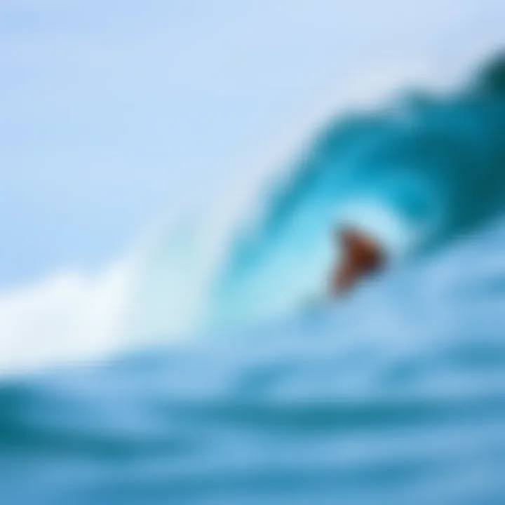 Surfline Hilton Head: An In-Depth Exploration of Surfing Culture Summary Surfline Hilton Head: An In-Depth Exploration of Surfing Culture Summary