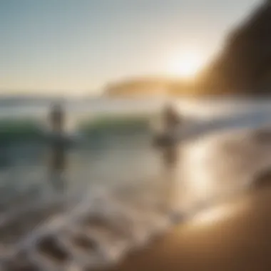 A group of surfers enjoying a sunny beach day