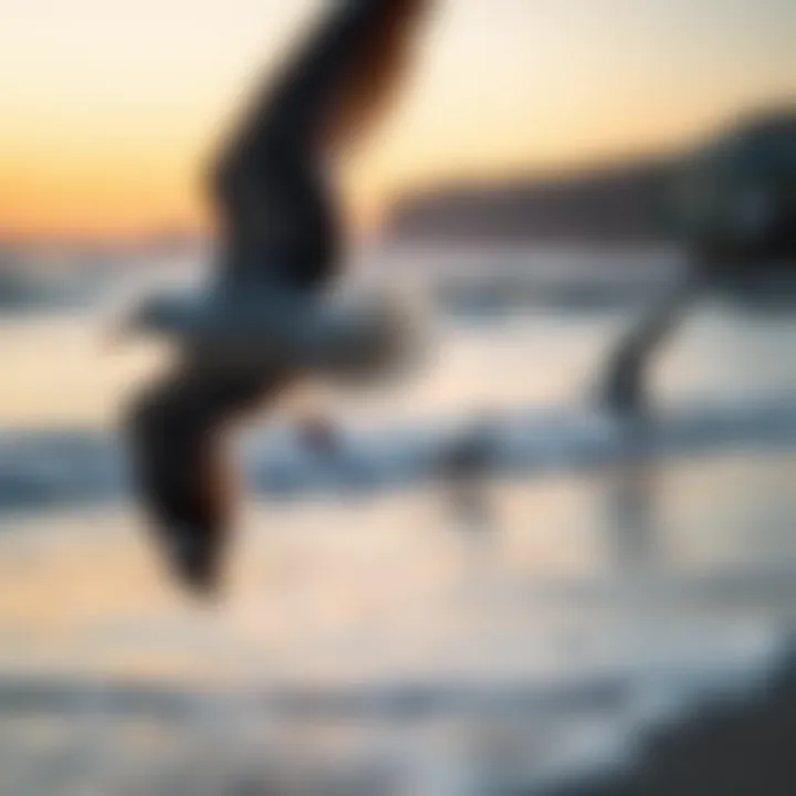 A serene beach at sunset with sound waves