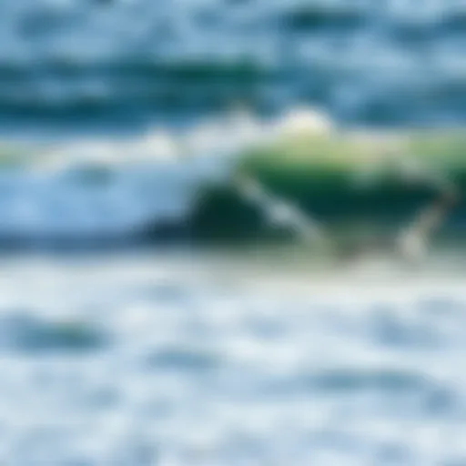 Ocean waves crashing against the shore