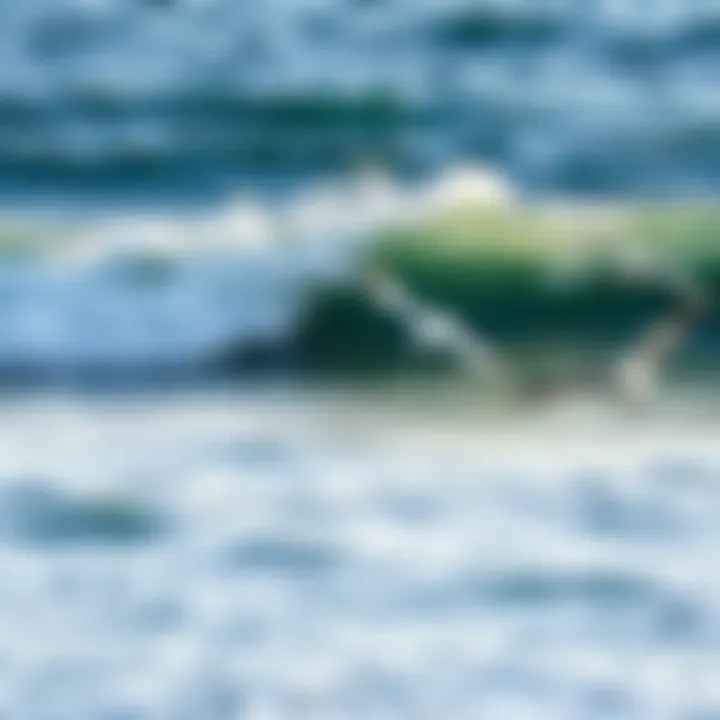 Ocean waves crashing against the shore
