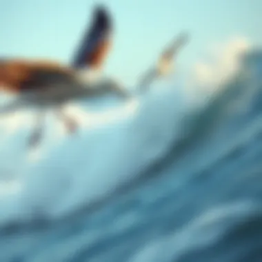Surfboard riding the waves in the ocean
